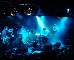 The Guillemots